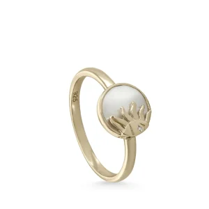 Anillo Sello | LINEARGENT Anillo sello de plata diseño solar con nácar