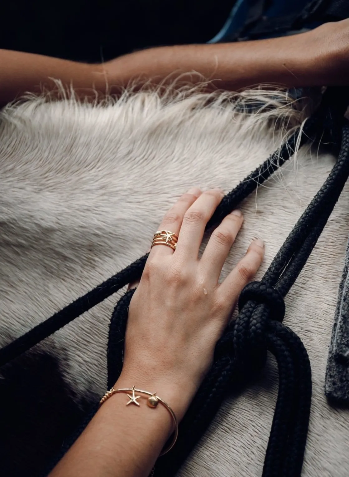 Anillos Anchos | LINEARGENT Anillos anchos diseño de motivos marinos