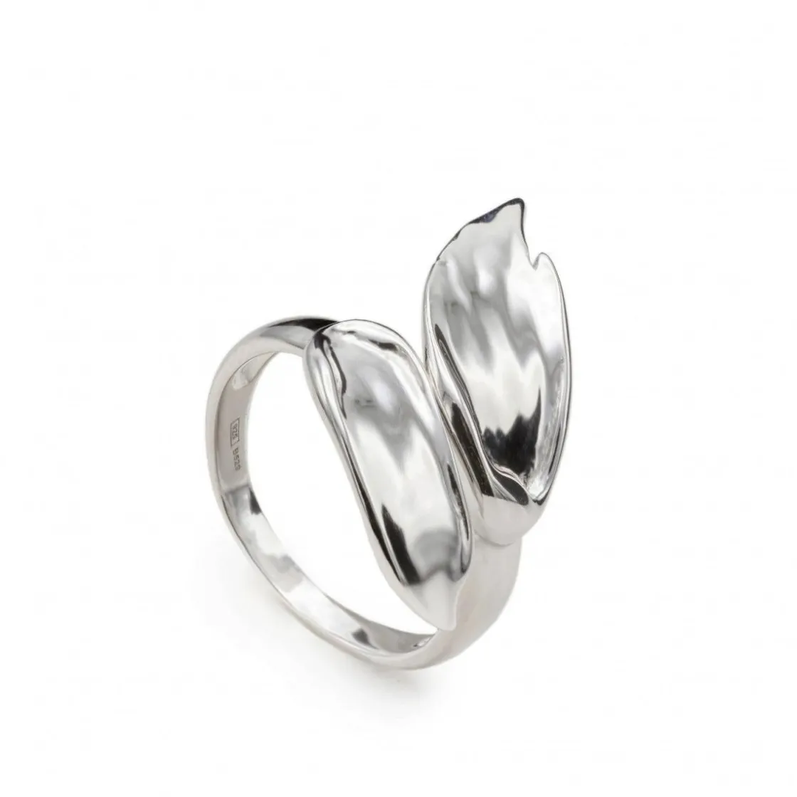 Anillos De Diseño | Anillos Grandes | LINEARGENT Anillos de diseño doble pincelada de plata lisa