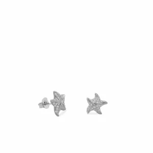 Pendientes Pequeños | LINEARGENT Pendientes pequeños de plata diseño estrella de mar con circonitas